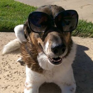 Meet your Posher, Valen